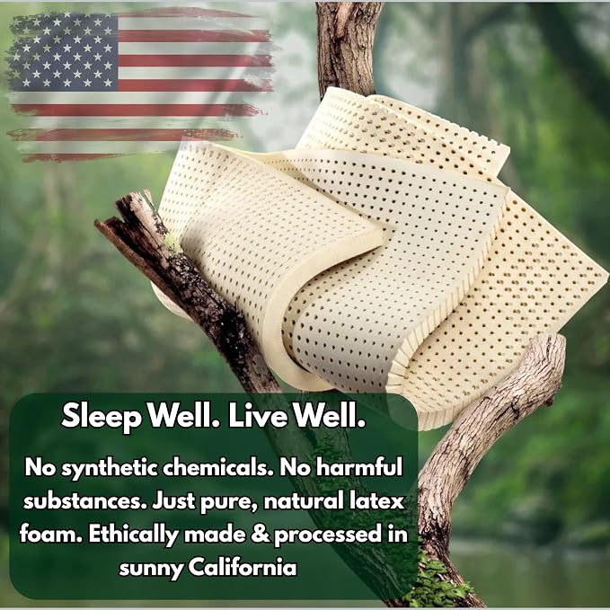 eConsumersUSA Organic Shredded Latex Foam 5lbs, 10lbs, 20lbs, 40lbs Made in USA 10 Pounds