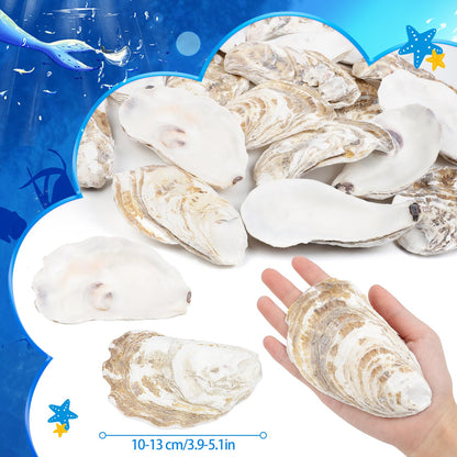 TaoQ C 20 PCS Oyster Shells 4"-5" Large Oyster Shells Natural Seashells for Crafts Beach Theme Party Fish Tank and Vase Filler Home Decoration