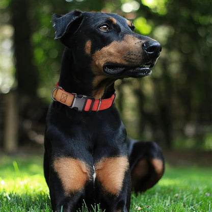 Mile High Life Genuine Leather Dog Collar, Soft Cotton Pet Collars with Heavy Metal Buckle for Small Large Dogs (Red, S Neck 11"-15")
