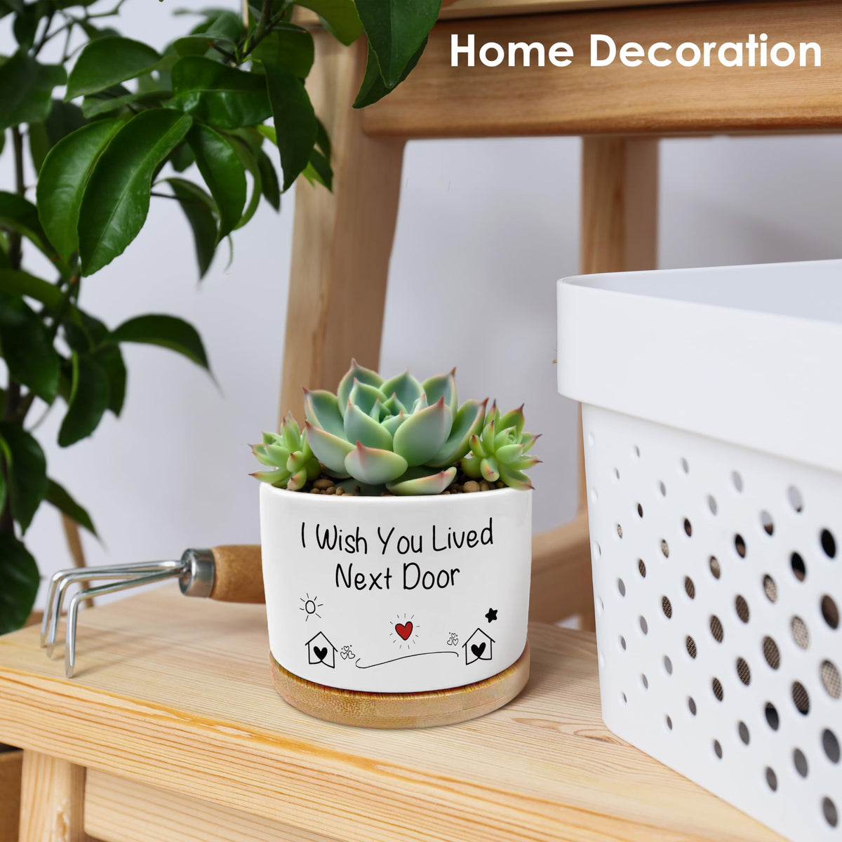 ROXMART I Wish You Lived Next Door Gifts Plant Pots, Friendship Gifts for Women Succulent Planters, Gift for Best Friend Ceramic Plant Flower Pots for Home Office Desk Table Shelf(No Plants)