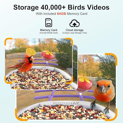 birdsnap® PAV-Bird Feeder with Camera,2K HD with 64GB Card, AI Identify Smart Bird House Cam Solar Panel,Live Stream,Motion Detection,Auto Record Video for Backyard Outdoors,Ideal Gift for Bird Lover
