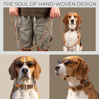 Tirevt Hand-Woven Dog Collar and Leash Set:Color-Block Design, Premium Reinforced Buckle, Adjustable Artisan Paracord for Puppies, Small, Medium & Large Dogs (Rainbow, M)