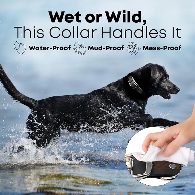 Regal Dog Products Medium Black Waterproof Dog Collar and Leash Set | Heavy Duty Double Buckle & D Ring - 5'ft Leash | Adjustable Biothane Dog Collar | Chew Resistant Waterproof Collar for Dogs