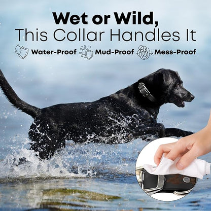 Regal Dog Products Small Black Dog Collar with Heavy Duty Double Buckle & D Ring | Vinyl Coated, Custom Fit, Adjustable Biothane Dog Collar | Chew Resistant Waterproof Collar for Dogs