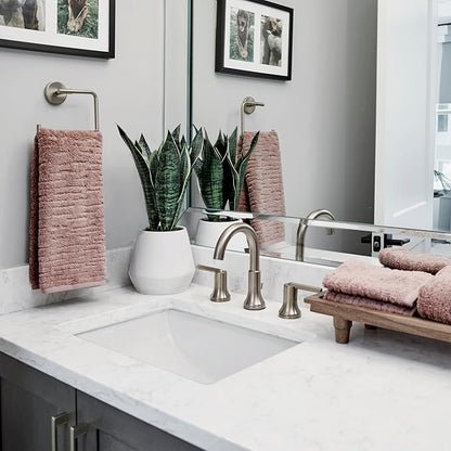SKL Home CloudSoft Cotton Luxury 2-Piece Hand Towel Set