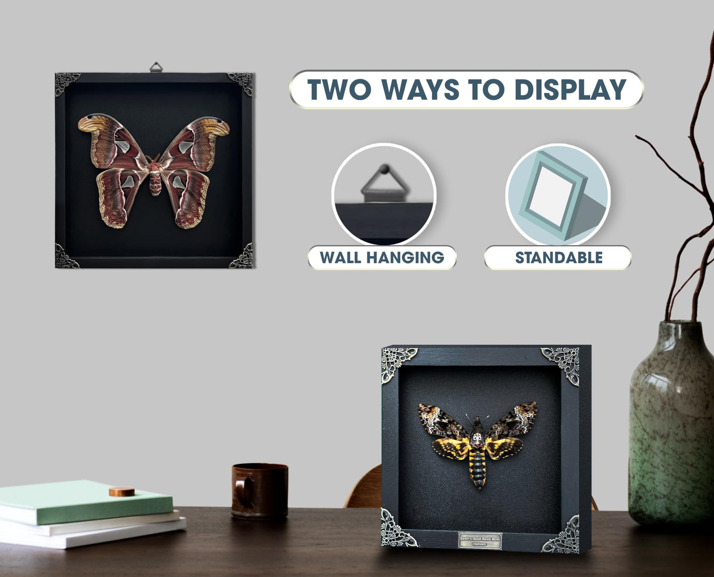 Real Butterfly Black Framed Butterflies Shadow Box Bug Wooden Insect Specimen Entomology Oddity Taxidermy Handmade Decor Wall Hanging K12-11-DE