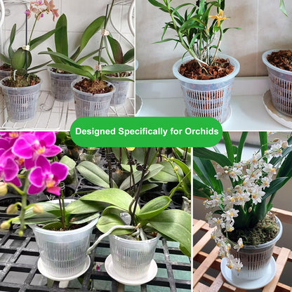 MYITYARD Orchid Pot, 6 Pack 6 Inch Orchid Pots with Holes & Saucers for Repotting - Clear Plastic Plant Pots for Indoor Outdoor Flower Planters Dendrobium Phalaenopsis
