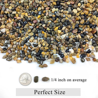 FANTIAN 5 lbs Aquarium Gravel, Pea Gravel for Fish Tank,1/4 Inch Decorative River Rocks for Aquarium Succulent Vase Plant Soil Cover and Outdoor Landscaping