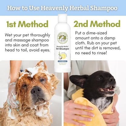 Wholistic Pet Organics Pet Shampoo Concentrate: USDA Organic Cat and Dog Shampoo for Sensitive Skin and Coat Support - Mild and Non-Irritating, Natural, Non-Toxic, Sulfate-Free, & Cruelty-Free - 2 Oz