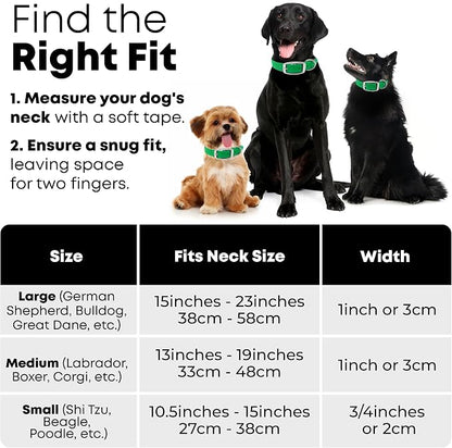 Regal Dog Products Medium Light Green Dog Collar with Heavy Duty Double Buckle & D Ring | Vinyl Coated, Custom Fit, Adjustable Biothane Dog Collar Chew Resistant Waterproof Collar for Dogs