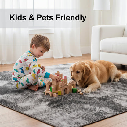 TerradWafs Washable Area Rugs 5x7, Modern Abstract Rug for Living Room, Soft Low Pile Non Slip Rug for Bedroom, Indoor Floor Carpet for Dining Room Farmhouse Nursery Entryway Home Office-Black