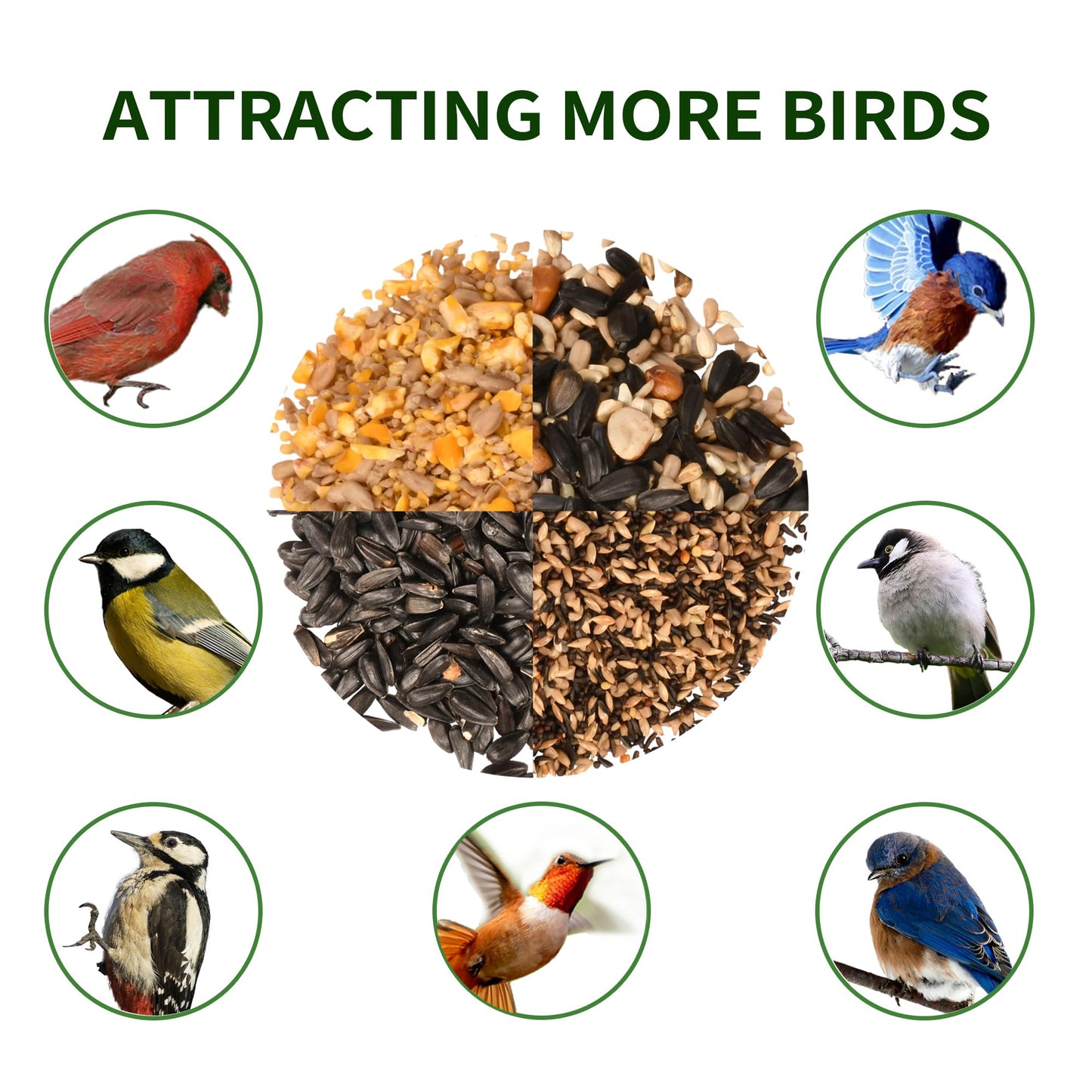 Solution4Patio Bird Feeders for Outdoors Hanging, All Metal, Double Suet Cake and Large Capacity, Hopper Tray & Weatherproof for Finch, Cardinal & Chickadee (Brown)