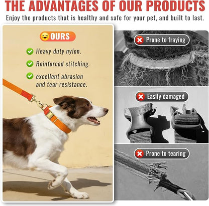 Dog Collar and Leash Set with Metal Quick Release Buckle, Adjustable, Breathable Nylon, Durable, Soft and Comfortable, No Pull for Walking and Training, Orange, L (14.9"-22.8")
