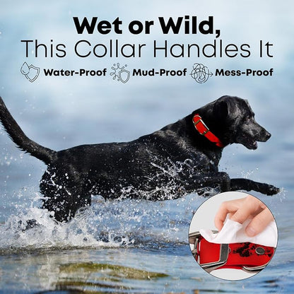 Regal Dog Products Medium Red Dog Collar with Heavy Duty Double Buckle & D Ring | Vinyl Coated, Custom Fit, Adjustable Biothane Dog Collar Chew Resistant Waterproof Collar for Dogs