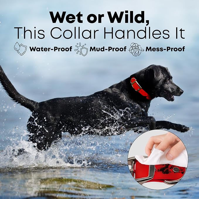 Regal Dog Products Small Red Waterproof Dog Collar and Leash Set | Heavy Duty Double Buckle & D Ring - 5'ft Leash | Adjustable Biothane Dog Collar | Chew Resistant Waterproof Collar for Dogs
