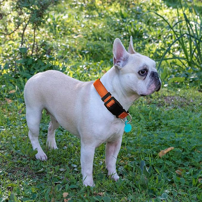 Ladoogo Reflective Dog Collar Padded with Soft Neoprene Breathable Adjustable Nylon Dog Collars for Small Medium Large Dogs (Medium (Pack of 1), Orange Collar+Leash)