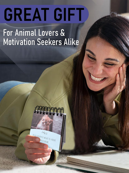 Daily Motivational Cat Calendar – 365 Reusable Quotes & Adorable Cat Photos for Year-Round Positivity – Desk Flip Calendar for Cat Lovers, Cute Animal Enthusiasts, & Motivation Seekers