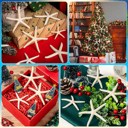 24 Pcs Starfish for Crafts, 2'' to 4'' Star Fish Shells Decorations, Natural Starfish Decor Bulk for Beach Theme DIY Crafts Christmas Tree Ornaments