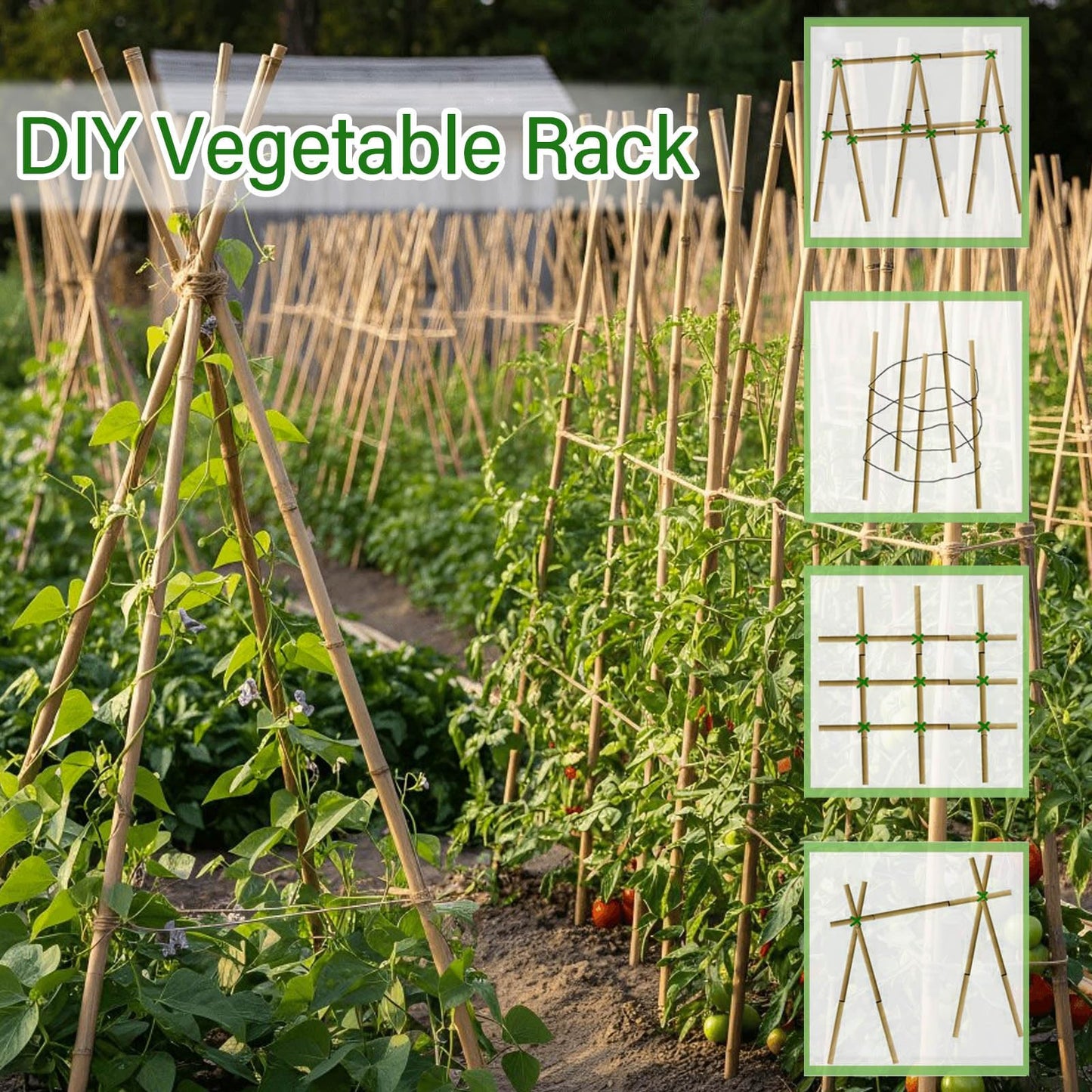 Gardgue Natural Bamboo Poles, 2 Feet Bamboo Sticks for Plants, Wood Garden Stakes for Tomato, Bean, Flowers, Trees Potted and Climbing Plants, 25 Pack