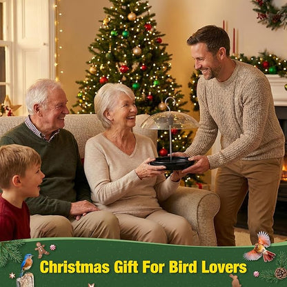 Kingsyard Adjustable Platform Bird Feeder for Outdoors, Hanging Metal Seed Tray with Clear Rain Proof Dome, Large Capacity for Wild Bluebird Cardinal Dove Mealworm, Black