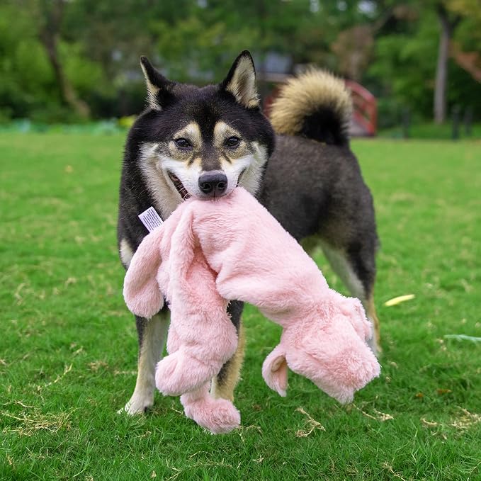 Best Pet Supplies Squeaky Dog Toys with Soft Durable Fabric for Small, Medium and Large Pets Interactive Toy for Indoor Play, Supports Active Biting and Play - Hare, Pig, Medium