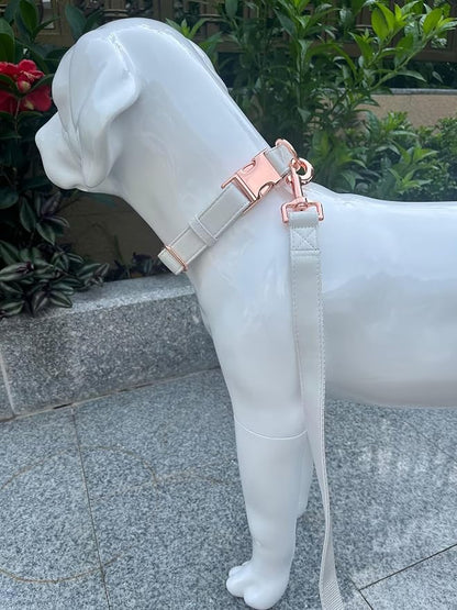 Dog Collar and Leash Set.Soft and Easy to Clean Vegan Leather with Rose Gold Metal Buckle for Small Medium Large Dogs (Off-White, XS(8"-12"))