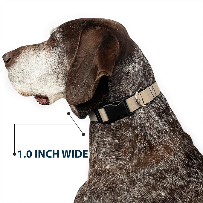 Buckle-Down Dog Collar Plastic Clip Natural Hemp 13 to 18 Inches 1.5 Inch Wide