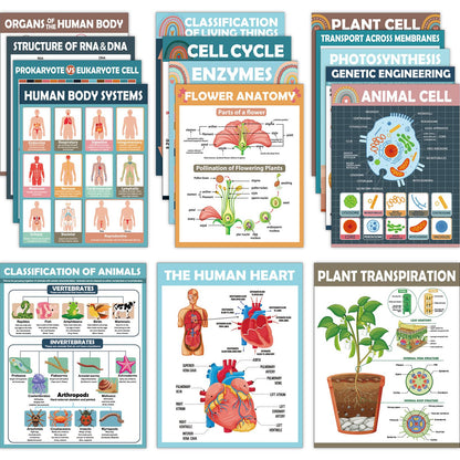 16Pcs Boho Science Posters for Classroom Middle School Supplies Biology Poster Classroom Decoration Life Science Posters Charts for Teachers High School Education Bulletin Wall Decor