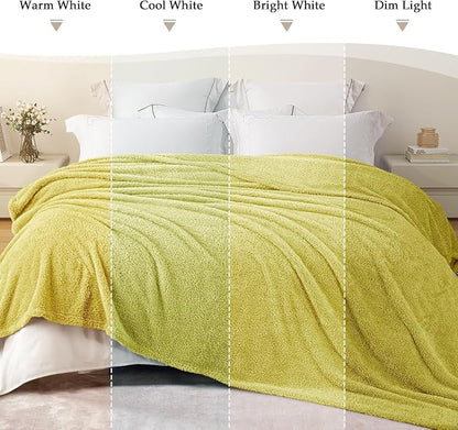 Exclusivo Mezcla Fleece Light Green Throw Blanket for Couch Sofa, Ultra Soft, Lightweight and Fluffy Blankets for Women, All Season, 50x60 Inches