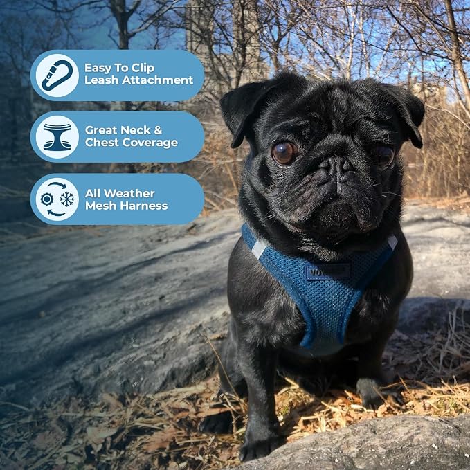 Best Pet Supplies Voyager Step-in Air All Weather Mesh Harness and Reflective Dog 5ft Leash Combo with Neoprene Handle, for Small, Medium and Large Breed Puppies - Set (Blue), X-Lrage