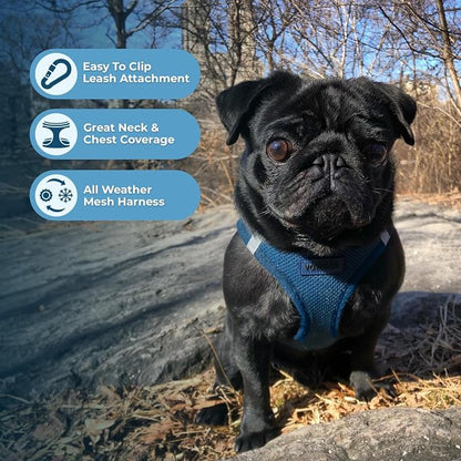 Best Pet Supplies Voyager Step-in Air All Weather Mesh Harness and Reflective Dog 5ft Leash Combo with Neoprene Handle, for Small, Medium and Large Breed Puppies - Blue, X-Small