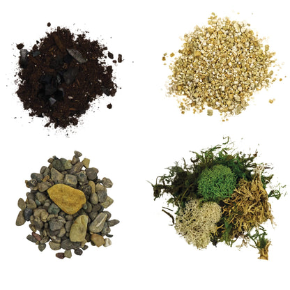 Cute Farms Terrarium Starter Kit | Moss, Vermiculite, Soil, Pebbles, Plant Food, Finishing Tools, Build and Care Guide | DIY Succulent Terrarium for Adults and Kids (Large)