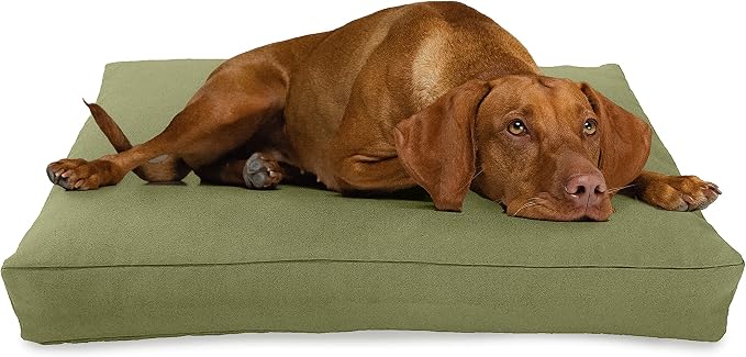 XX-Large - 54 x 36 x 6 - Cactus Premium Organic Hemp Dog Bed - Organic Latex Fill - Removeable Cover