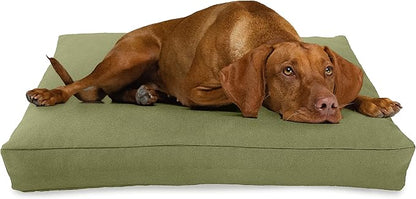 X-Large - 48 x 30 x 5 - Cactus Premium Organic Hemp Dog Bed - CertiPUR Fill - Removeable Cover