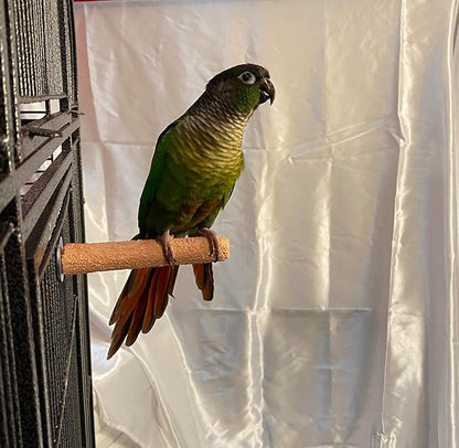 Polly's Pastels Nail Trimming & Beak Conditioning Safety Perch for Cockatiels, Cockatoos, Macaws, Parakeets, Budgies, Parrots and All Other Birds (Brown, Baby Medium-3/4 Dia. x 5