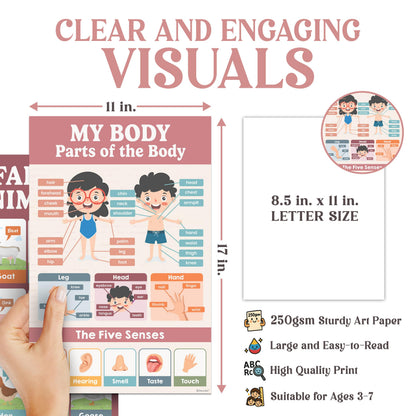 Decorably 20 Boho Learning Posters for Kids Ages 3-5, 11x17in Educational Matte-Laminated for Classrooms, Homeschool, School Hallways, Bulletin Boards