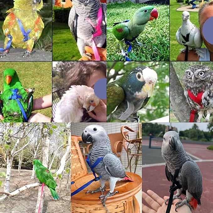 2 pcs Pet Parrot Bird Harness and Leash, Adjustable Training Design Anti-Bite, Outdoor Flying Training Rope Kit for Bird Parrots Fits Birds Chest Between46-76cm /18.11-29.92inch - XL (red)