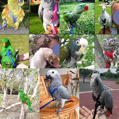 2 pcs Pet Parrot Bird Harness and Leash, Adjustable Training Design Anti-Bite, Outdoor Flying Training Rope Kit for Bird Parrots Fits Birds Chest Between46-76cm /18.11-29.92inch - XL (red)