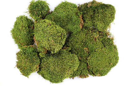 SuperMoss (21537) Mood Moss – Natural Moss for Home Decor, Terrariums, Floral Arrangements, and Craft Projects, 1,564 cu in, Dried