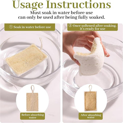 JOYMOOP Compressed Cellulose & Loofah Scrubbers, Non-Scratch Scrub Sponge, Kitchen Sponges for Dishes, 6-Pack, Dual-Sided Dish Sponge for Nonstick Cookware & All Surfaces