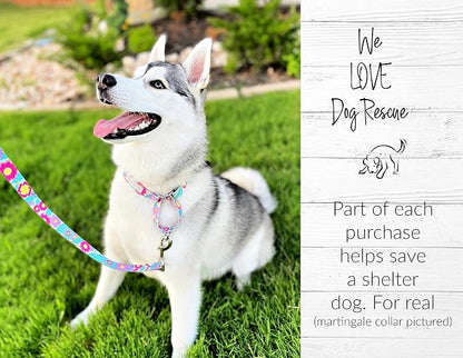 Lucky Love Dog Martingale Collar, Premium No Slip Martingale Collar for Medium Dogs, Great for Whippets, Greyhounds, and More (Caroline, Medium)