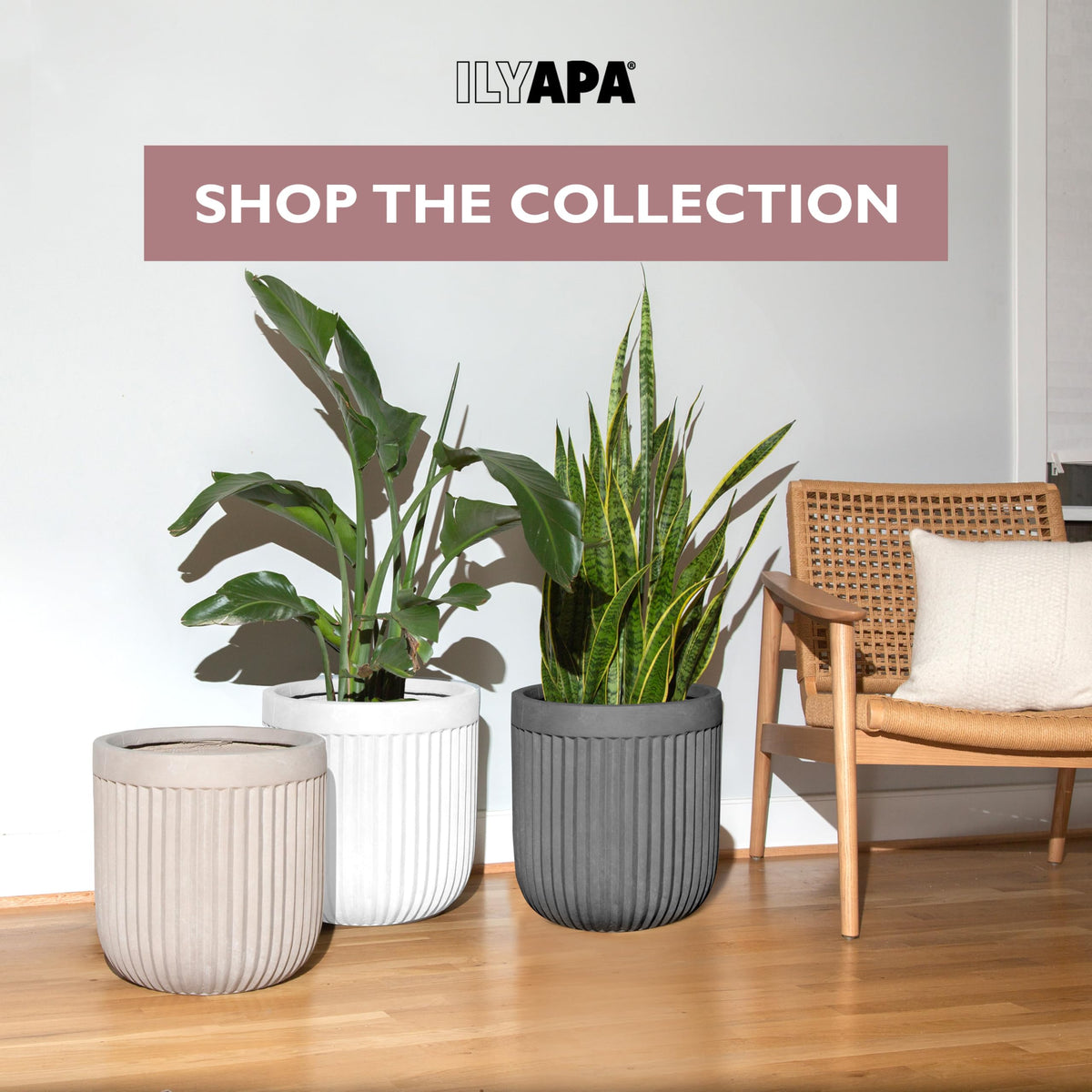 Ilyapa 14 Inch Large Fluted Modern Concrete Planter - 14x14 Inch Indoor Plant Pots with Drainage - Large Black Planters for Indoor/Outdoor Use