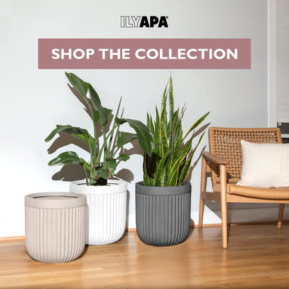 Ilyapa 14 Inch Large Fluted Modern Concrete Planter - 14x14 Inch Indoor Plant Pots with Drainage - Large Black Planters for Indoor/Outdoor Use