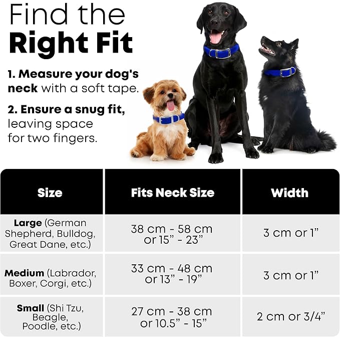 Regal Dog Products Small Blue Waterproof Dog Collar and Leash Set | Heavy Duty Double Buckle & D Ring - 5'ft Leash | Adjustable Biothane Dog Collar | Chew Resistant Waterproof Collar for Dogs