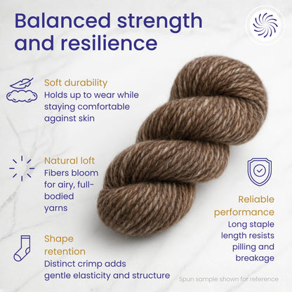 Revolution Fibers Yin Yang Natural Blend of Corriedale Wool Roving (8 Ounces) | Perfect for Felting, Hand Spinning & Tapestry |100% Natural Undyed Off-White & Brown Blend