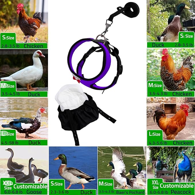 Adjustable Chicken Harness Diaper (5.4ft Leash) – Breathable & Washable Secure Training for Hens, Ducks & Chicks | Outdoor Walking & Discipline Solution,Black