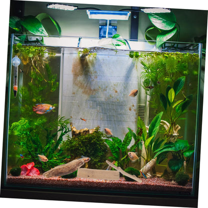 SHINEOFI Natural Driftwood Blocks for Aquarium Driftwood Decor and DIY Crafts Polished Small Wood Pieces for Fish Tank Decoration 20 Pieces 3.93X1.18X0.59 Inch