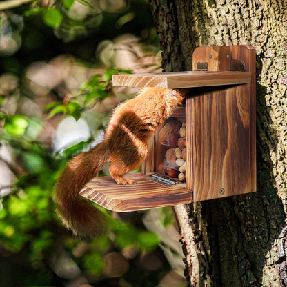MIXXIDEA 2 PK Wooden Squirrel Feeder Box, Sturdy Squirrel Feeding House with Thickness 1.5CM Wood, No Assembly Required, for Backyard Outside Garden
