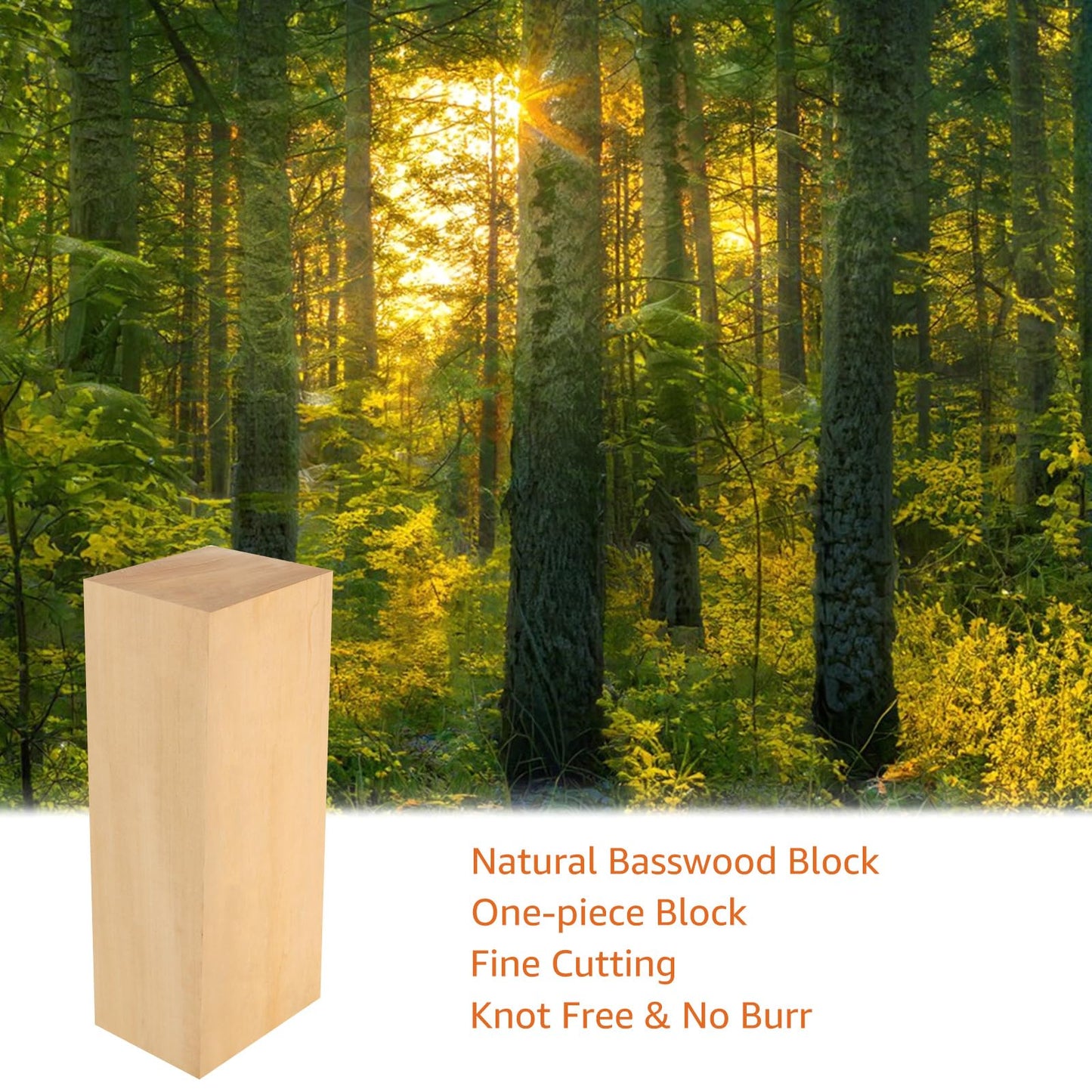 Acrux7 10 x 4 x 3 Inch Basswood Carving Blocks, Unfinished Bass Wood Block for Carving, Whittling, DIY Crafts, Beginner and Experts, Easy to Carve