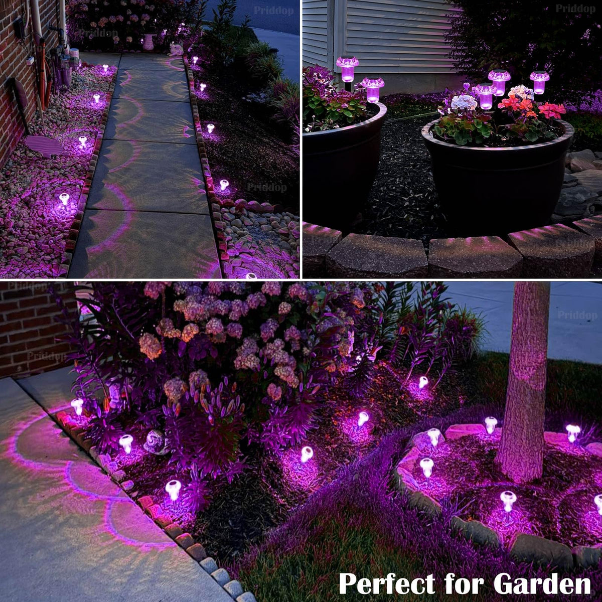 Priddop Solar Halloween Lights Outdoor 8 Pack Waterproof Purple LED